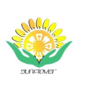 shenzhen sunflower dental laboratory   channel