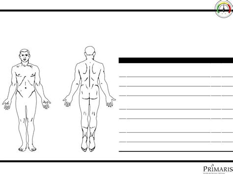 skin assessment form fill  printable  forms