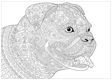 printable boxer dog coloring pages thiva hellas