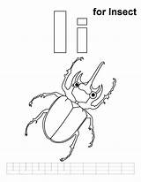 Insect Coloring Pages Handwriting Practice Kids Popular sketch template