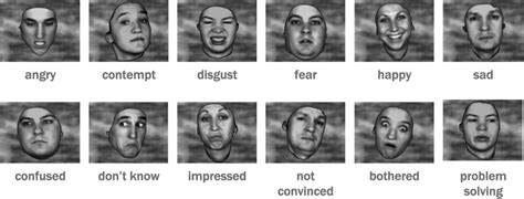 Facial Expressions Explained Body Language Signs Body Language