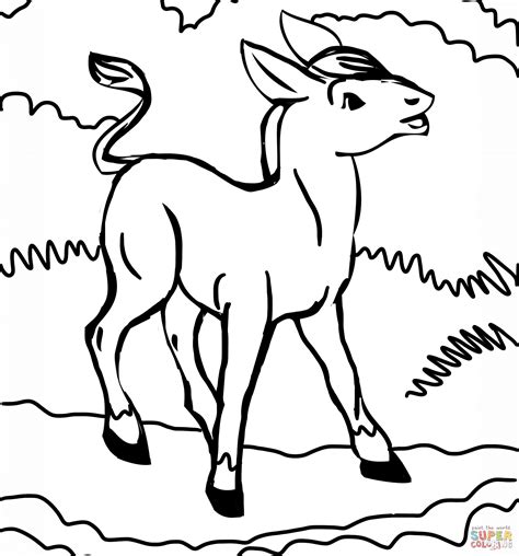 printable donkey coloring pages  kids sketch coloring page