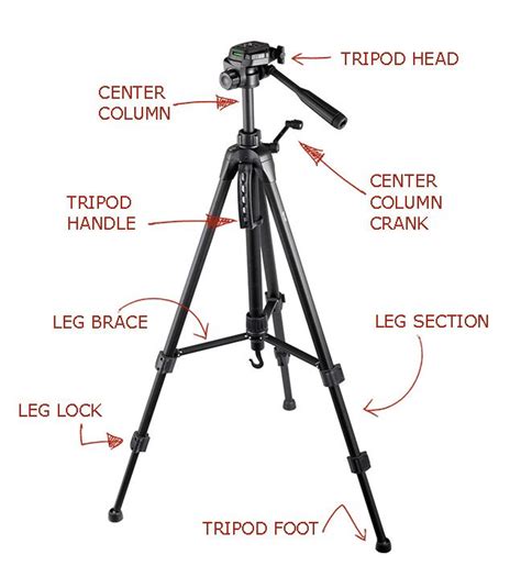 camera tripod basics understanding   parts   tripod tripodparts