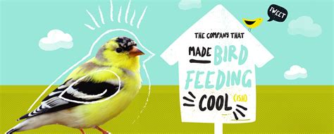 easy  clean bird feeders seed  canary company