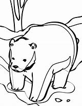 Bear Coloring Pages Printable Cute Kids Brown Polar Animals Drawing Koala Antarctic Bestcoloringpagesforkids Library Antarctica Popular Getdrawings Clipart Coloringhome Related sketch template