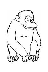 Chimpanzee Coloring Sits Common Cartoon sketch template