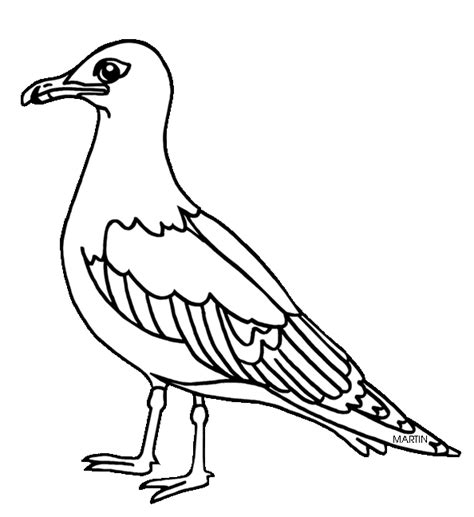 alaska state bird coloring page  coloring pages