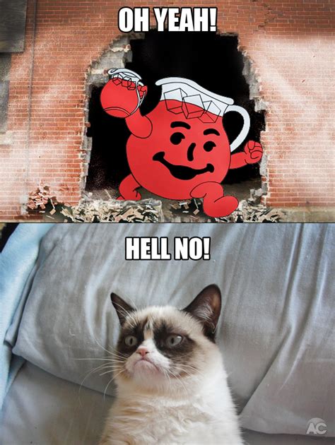Hey Kool Aid Oh Yeah Grumpy Cat Know Your Meme