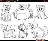 Kittens Gattini Animati Cartelloni sketch template