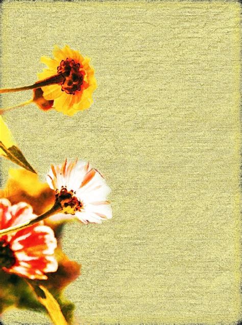 flower border paper stock photo image  impressionistic