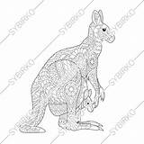 Wallaby Kangaroo sketch template