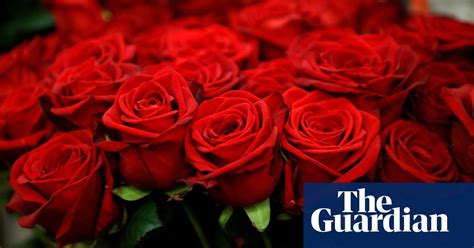 don t deny us the joy of cheap flowers letters the guardian