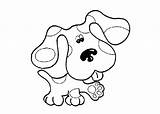 Coloring Paw Print Dog Pages Clues Getcolorings Printable Getdrawings sketch template