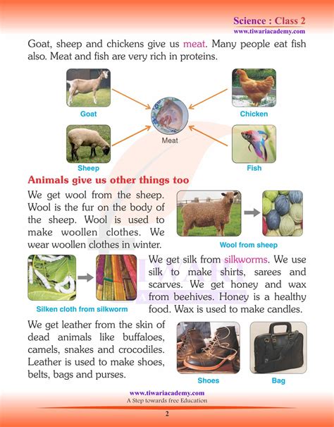 ncert solutions  class  science chapter   animals