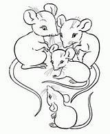 Rato Colorir Ratinhos Ratinho sketch template