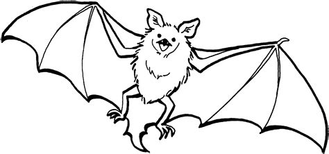 bat coloring pages    print