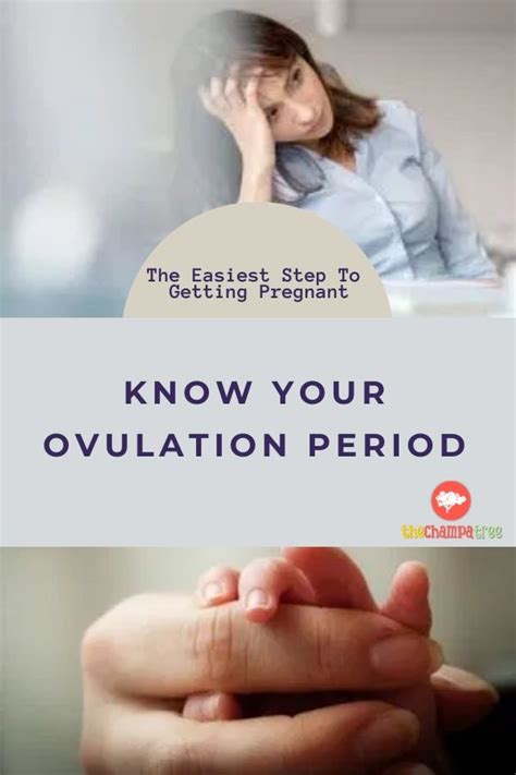 know your ovulation period know your ovulation for getting pregnant