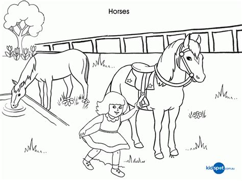 horses pictures  print coloring home