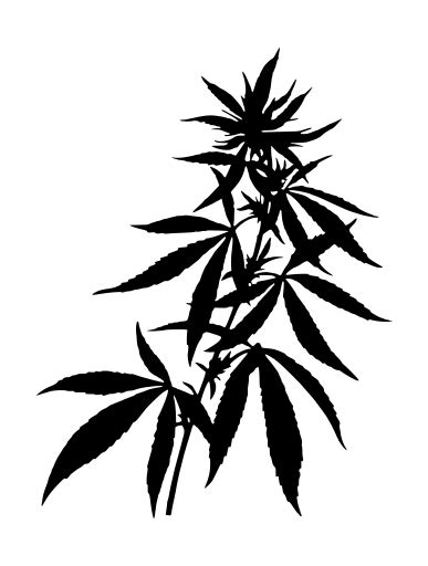 Hemp Svg Chilangomadrid Com