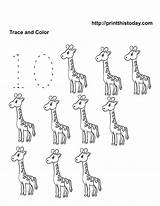 Worksheets Number Math Worksheet Kindergarten Coloring Ten Giraffe Animals Printable Pages Tracing Color Pre Count School Numbers Printthistoday Trace Printables sketch template