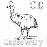 Coloring Emu Cassowary Pages Getcolorings Color sketch template