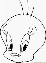 Tweety Bird Coloring Pages Printable Kids sketch template