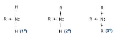 explain  reason amines  basic substances  amides  neutral  explain
