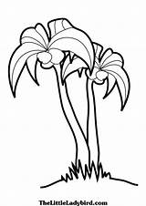 Tree Palm Coloring Pages Palmetto Trees Branches Drawing Sabal Beach Getdrawings Clipartbest African Drawings Club Simple Template Sketch Clip sketch template