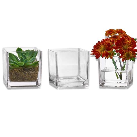 Glass Vase Square Decor For You