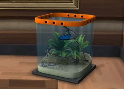sims  insects collection guide sims
