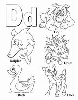Letter Coloring Pages Preschool Letters Deer Dolphin Duck Dog Alphabet sketch template