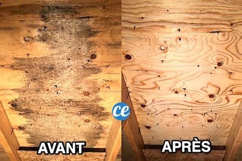 comment enlever de la moisissure sur  meuble en bois facile rapide taches de moisissure