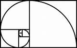 Fibonacci Spiral Golden Sequence Ratio Draw Photographers Print Means Version sketch template
