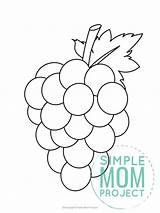 Grape Grapes Simplemomproject sketch template