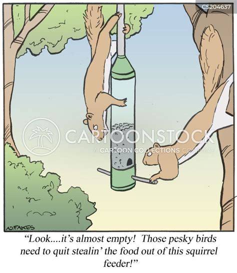 birdfeeder cartoons and comics funny pictures from