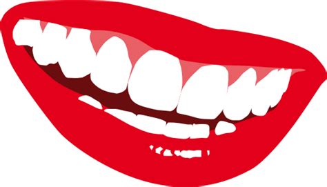 free dental cliparts download free clip art free clip art on clipart library