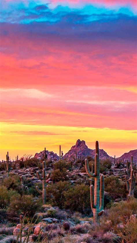 phoenix arizona desert iphone wallpapers wallpaper cave