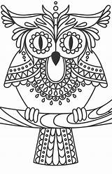 Seniors Visually Rachel Owls Impaired Mintz Relaxation 1560 Include sketch template