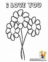 Coloring Pages Jumbo Sunflower Comments Library Clipart sketch template