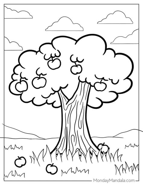 images  trees coloring pages