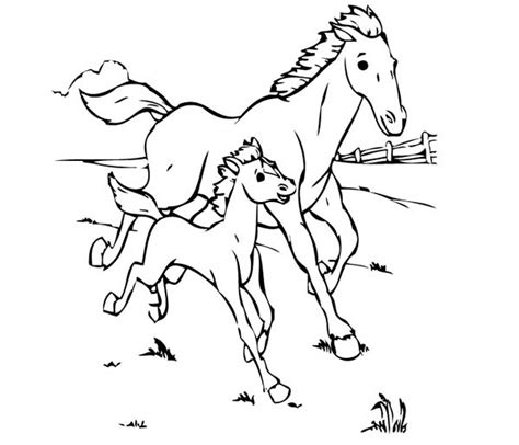 barbie  horse coloring pages  coloring pages