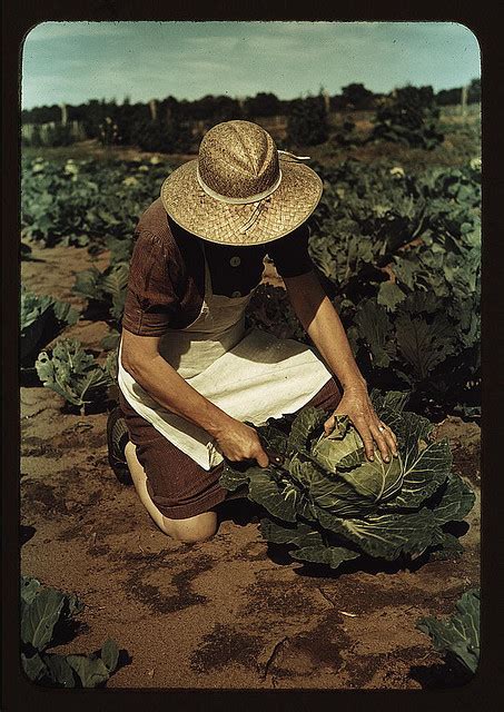 women farming ~ vintage everyday