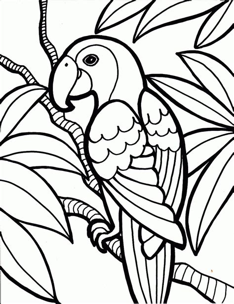 paint birds colouring pages