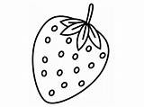 Strawberry Gambar Mewarnai Coloring Buah Anak Paud Marimewarnai Macam Berbagai Temukan Aneka Bisa Sangat Erdbeeren Dazu sketch template