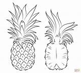 Ananas Colorare Disegni Intero Metà sketch template