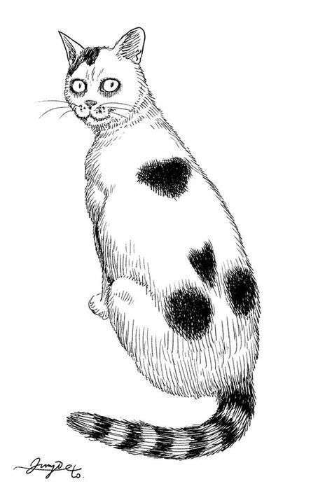Junji Ito Manga Art Horror Art Cat Art
