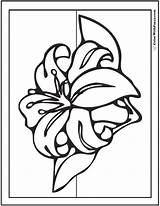 Coloring Lily Spring Stargazer Flowers Pages Printables Drawing Sheet Getdrawings Colorwithfuzzy Customizable Fun sketch template