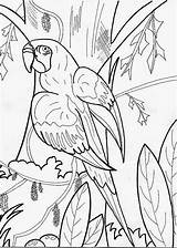 Papegaai Vogels Kleurplaten Volwassenen Loro Extincion Dibujosyjuegos Humanizado Downloaden Kleurplaat Uitprinten Dibujar sketch template