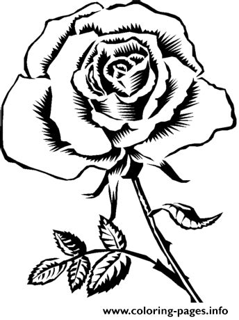 pretty rose realistic coloring page printable