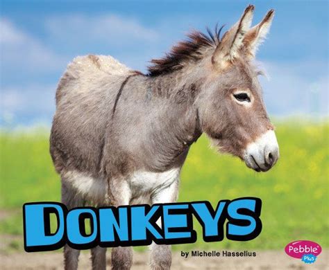 donkeys  animal books animals  kids audio books